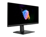 MSI CB Optix MAG301RFDE | MSI eSport Gaming Monitor